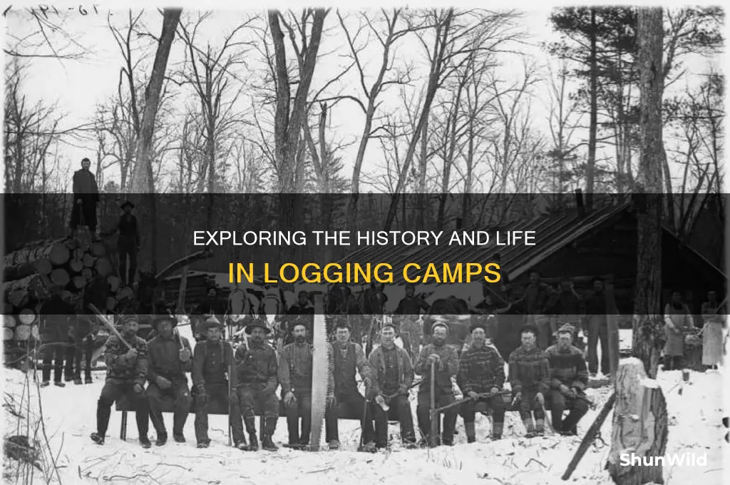 what is a logging camp