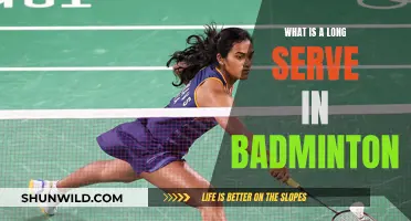 Understanding Badminton's Long Serve Strategy