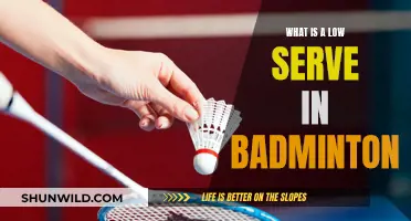 The Art of Low Serves in Badminton