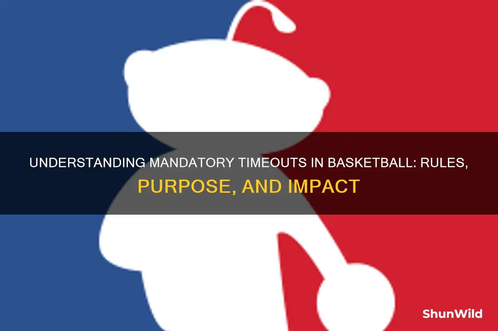 what is a mandatory timeout in basketball