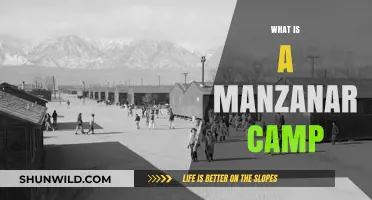 Unveiling Manzanar: Understanding the History of the Camp