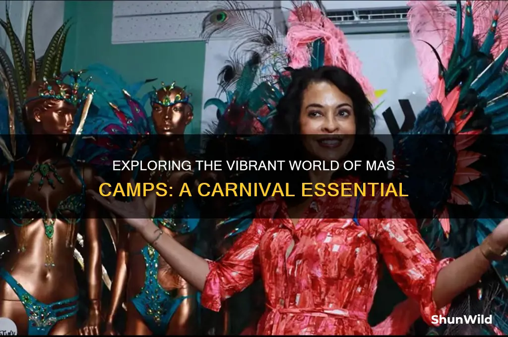 what is a mas camp