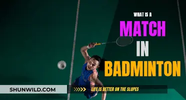 Understanding the Scoring System in Badminton