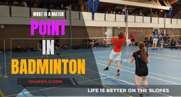 Understanding Match Point in Badminton