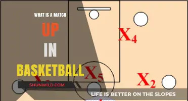 Understanding Matchups in Basketball: Strategy, Defense, and Player Dynamics