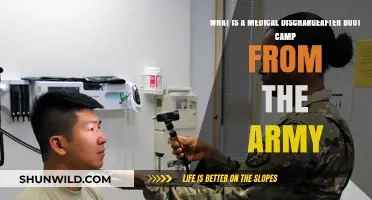 Understanding Medical Discharge: What Happens After Army Boot Camp?