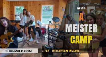 Discover the Unique Experience of Meister Camp: A Comprehensive Guide
