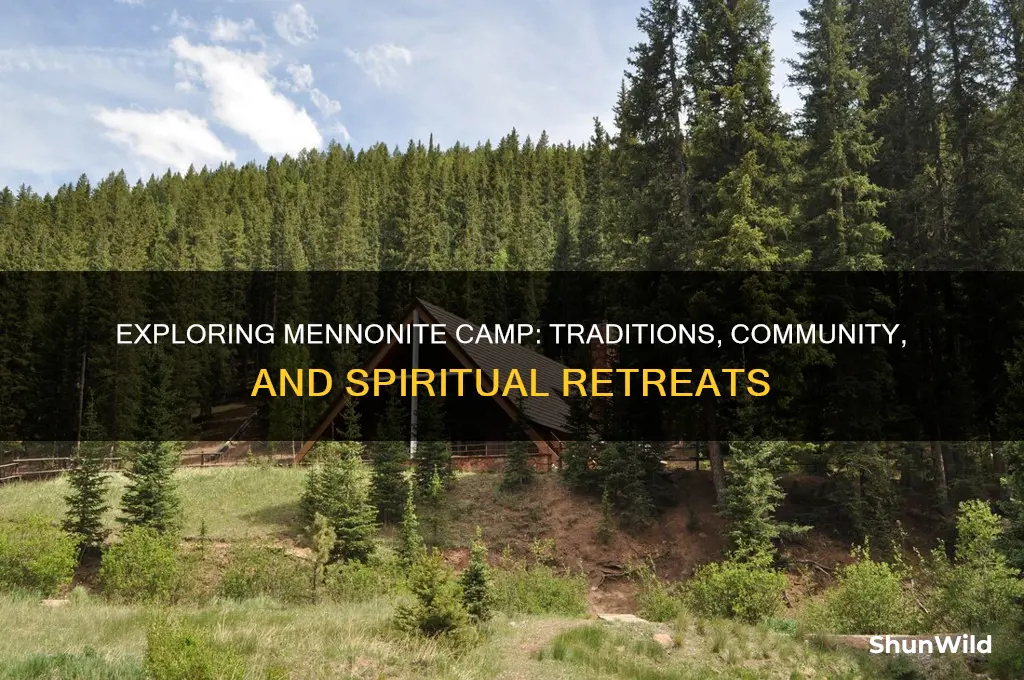 what is a mennonite camp