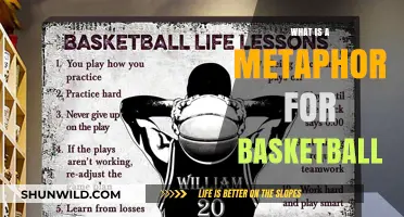 Basketball as a Metaphor: Life Lessons from the Hardwood Court