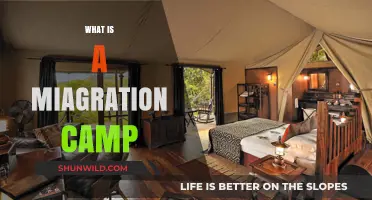 Understanding Migration Camps: Purpose, Structure, and Impact Explained