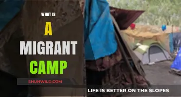 Understanding Migrant Camps: Purpose, Conditions, and Global Impact Explained
