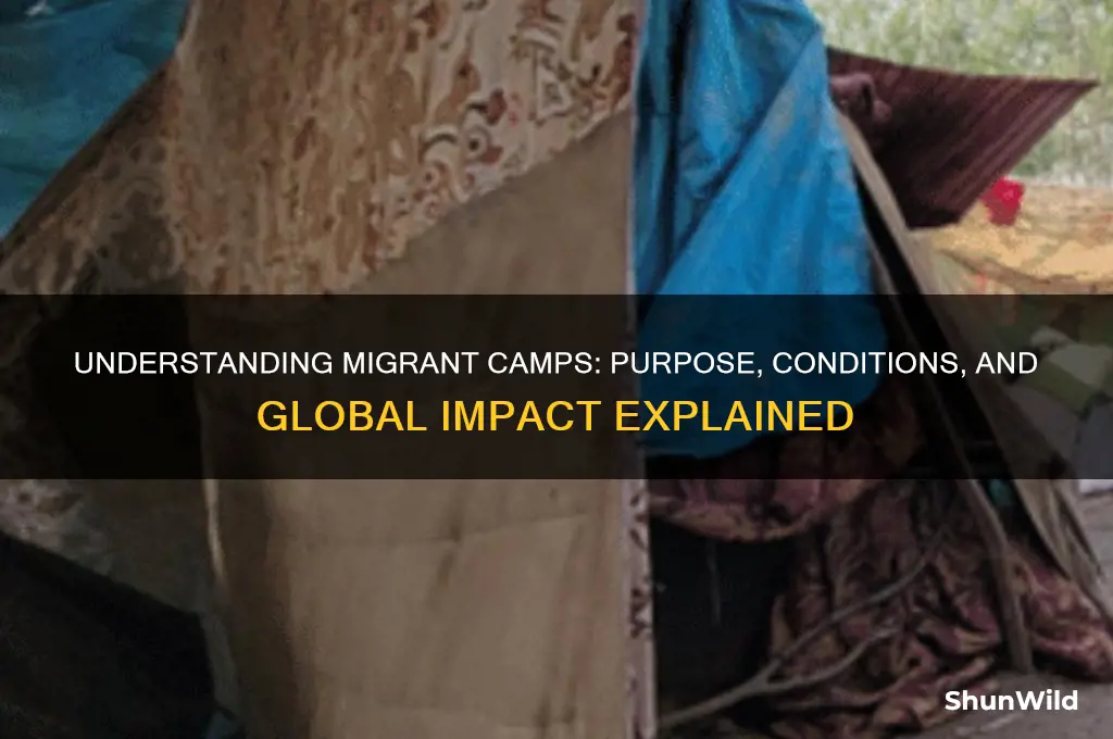 what is a migrant camp