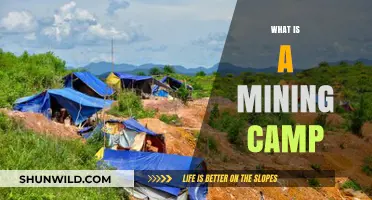 Exploring the History and Life in Remote Mining Camps