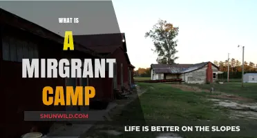 Understanding Migrant Camps: Purpose, Conditions, and Global Impact Explained