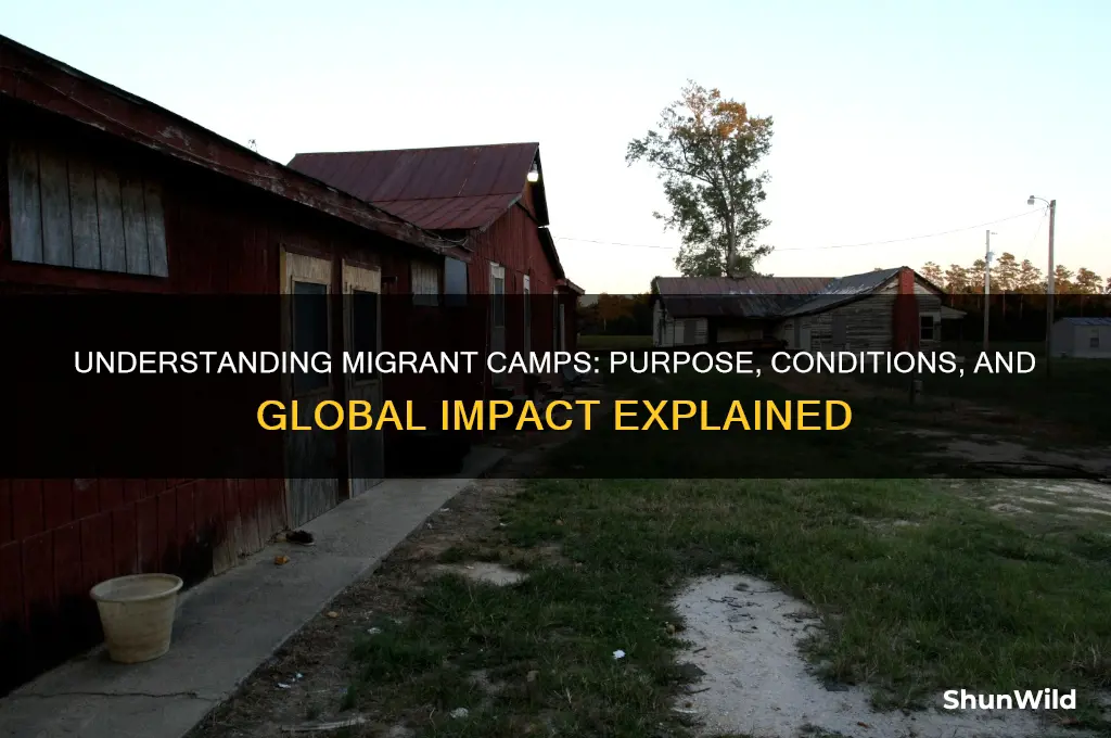 what is a mirgrant camp