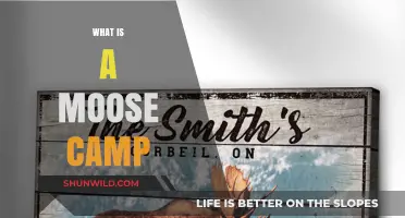 Exploring the Rustic Charm and Traditions of a Moose Camp