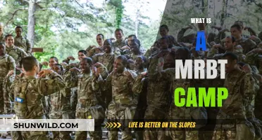 Understanding MRBT Camps: Purpose, Benefits, and Training Methods Explained