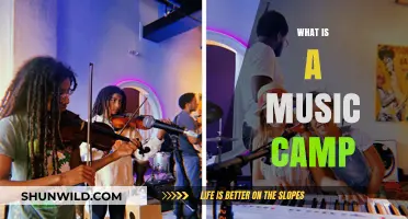 Discover the Joy of Music Camps: A Beginner's Guide