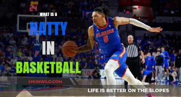Understanding the Term 'Natty' in Basketball: Origins and Meaning