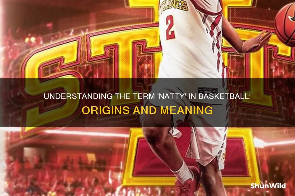 what is a natty in basketball