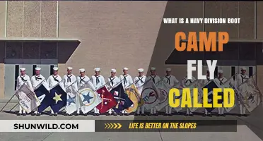 Understanding the Navy Division Boot Camp Fly: Its Name and Purpose