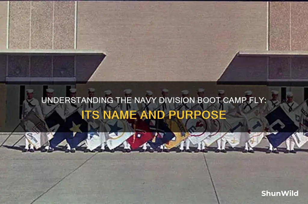 what is a navy division boot camp fly called