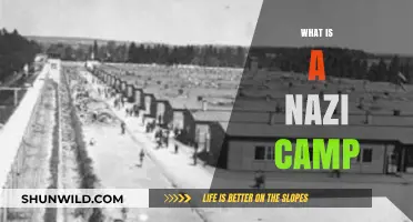 Understanding Nazi Concentration Camps: History, Purpose, and Legacy Explained