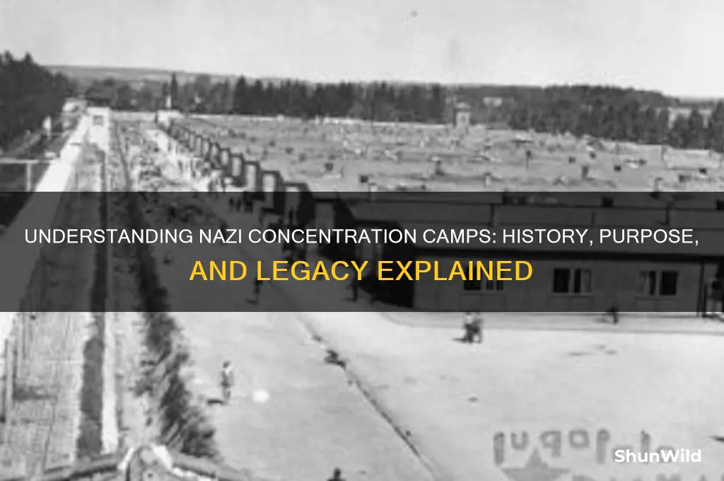 what is a nazi camp