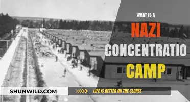 Understanding Nazi Concentration Camps: History, Purpose, and Legacy Explained