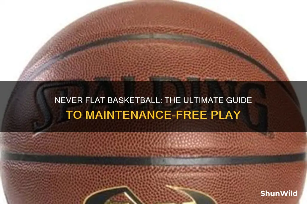 what is a never flat basketball