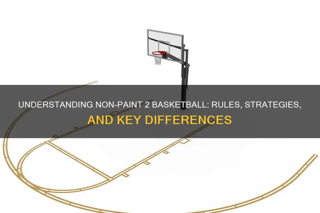 what is a non paint 2 basketball