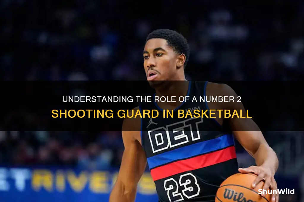 what is a number 2 in basketball