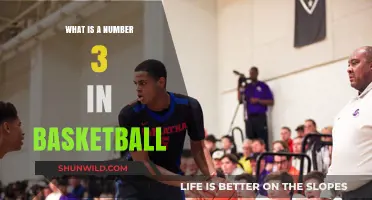 Understanding the Role and Impact of a Number 3 in Basketball