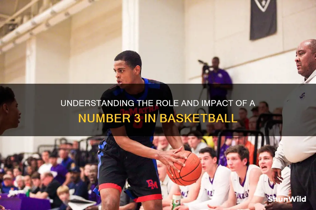 what is a number 3 in basketball