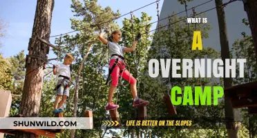 Exploring Overnight Camps: Adventure, Growth, and Memorable Experiences for Kids