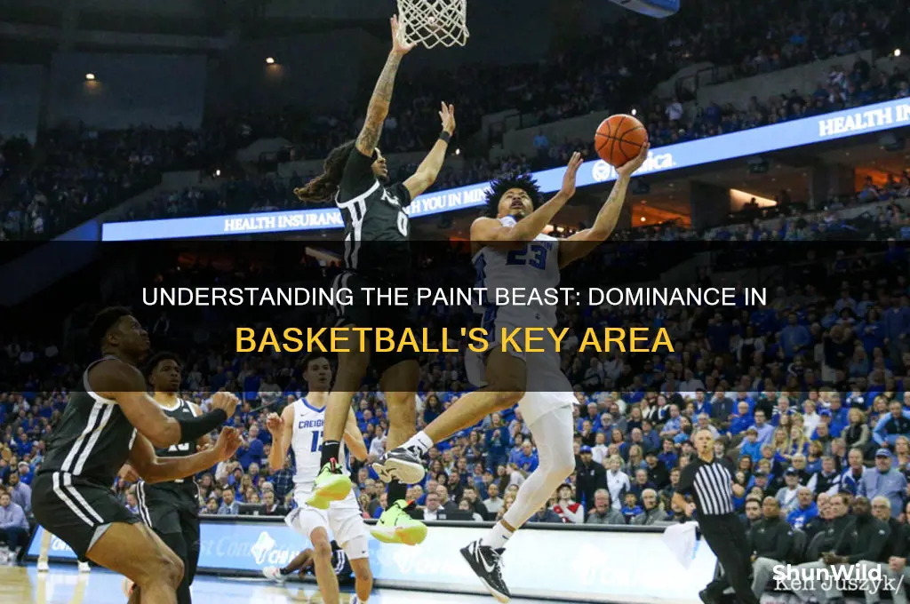 what is a paint beast in basketball