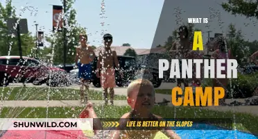 Exploring Panther Camp: A Unique Outdoor Adventure Experience Revealed