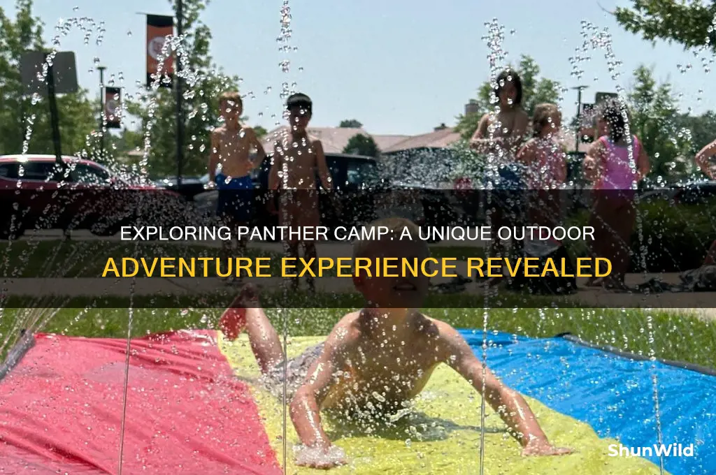 what is a panther camp