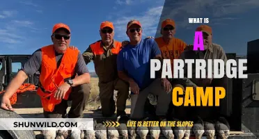 Exploring Partridge Camp: Traditions, Activities, and Hunting Adventures