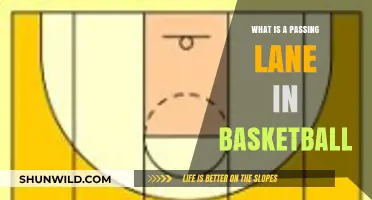 Understanding the Passing Lane: A Key Defensive Strategy in Basketball