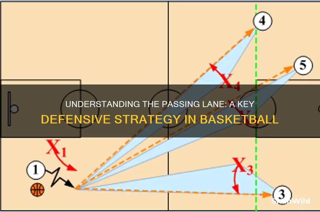 what is a passing lane in basketball