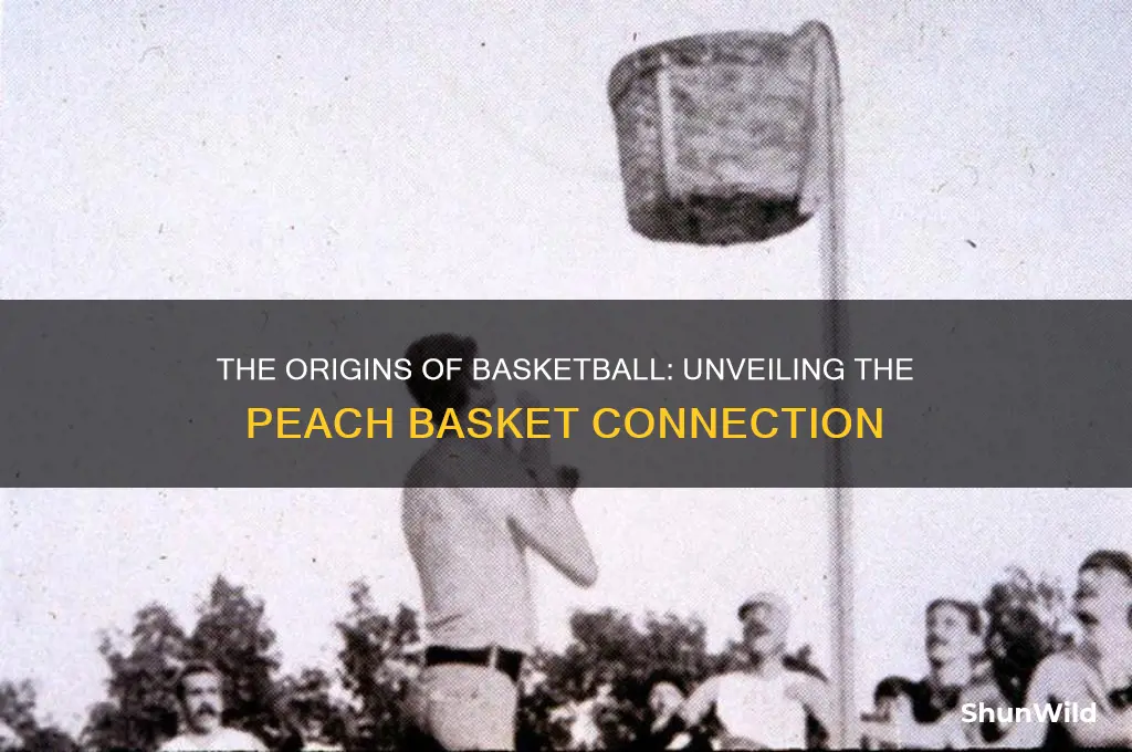 what is a peach basket in basketball