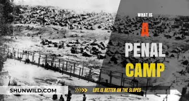 Understanding Penal Camps: History, Purpose, and Modern Implications