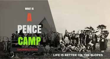 Understanding Pence Camps: Origins, Purpose, and Impact Explained