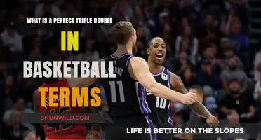 Understanding the Perfect Triple-Double in Basketball: Stats, Strategy, and Significance