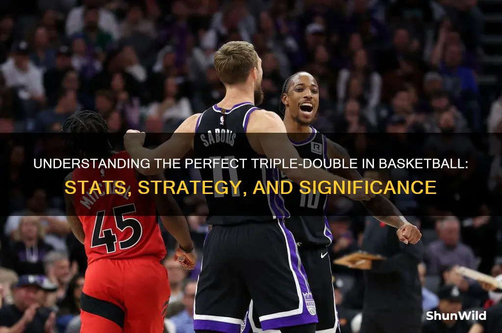 what is a perfect triple double in basketball terms