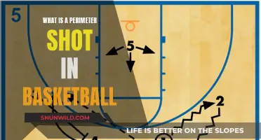 Perimeter Shot: The Ultimate Guide to Long-Range Success in Basketball