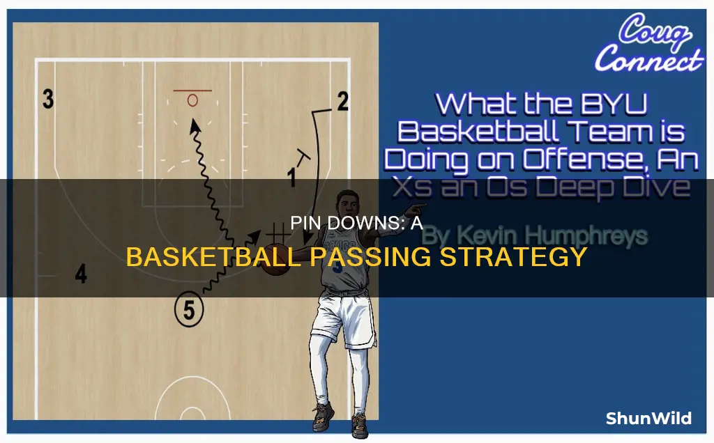 what is a pin down in basketball