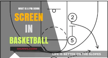Understanding the Pin Down Screen: A Key Basketball Offensive Tactic