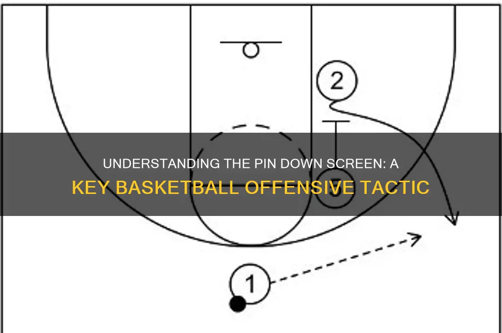what is a pin down screen in basketball